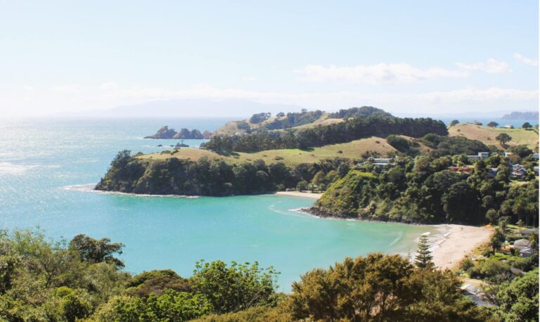 Palm Beach Waiheke