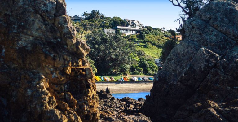 Investment in Waiheke